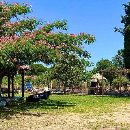 Ianthi Apartments Sykia Chalkidikis Bagian luar foto