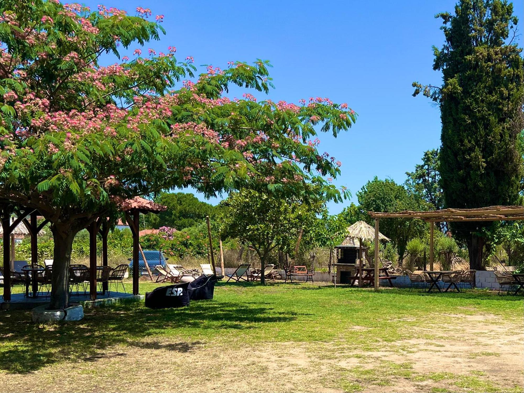 Ianthi Apartments Sykia Chalkidikis Bagian luar foto